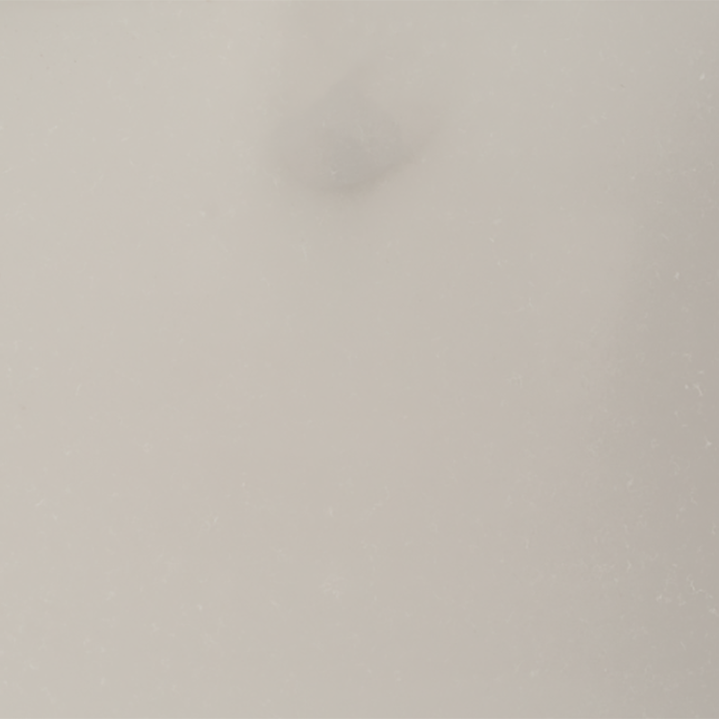 Procyonstone Lactic 133605