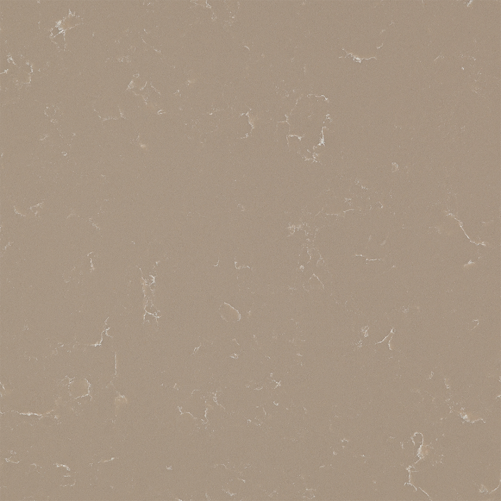 Coante 3307 Kalynda