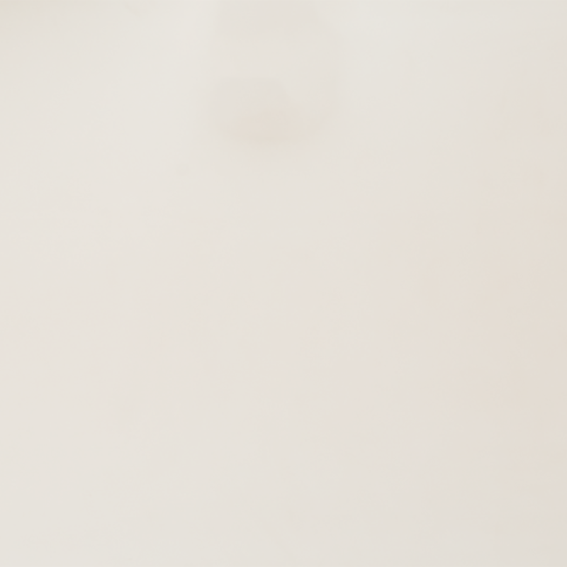 Procyonstone Frost 111601