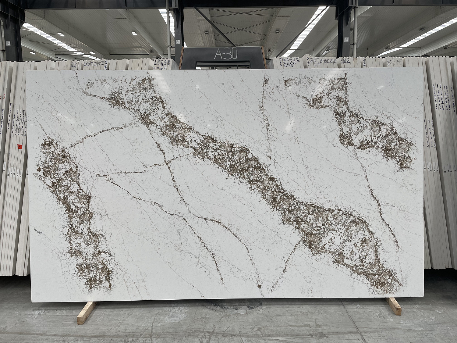 Quantra quartz Pantheon