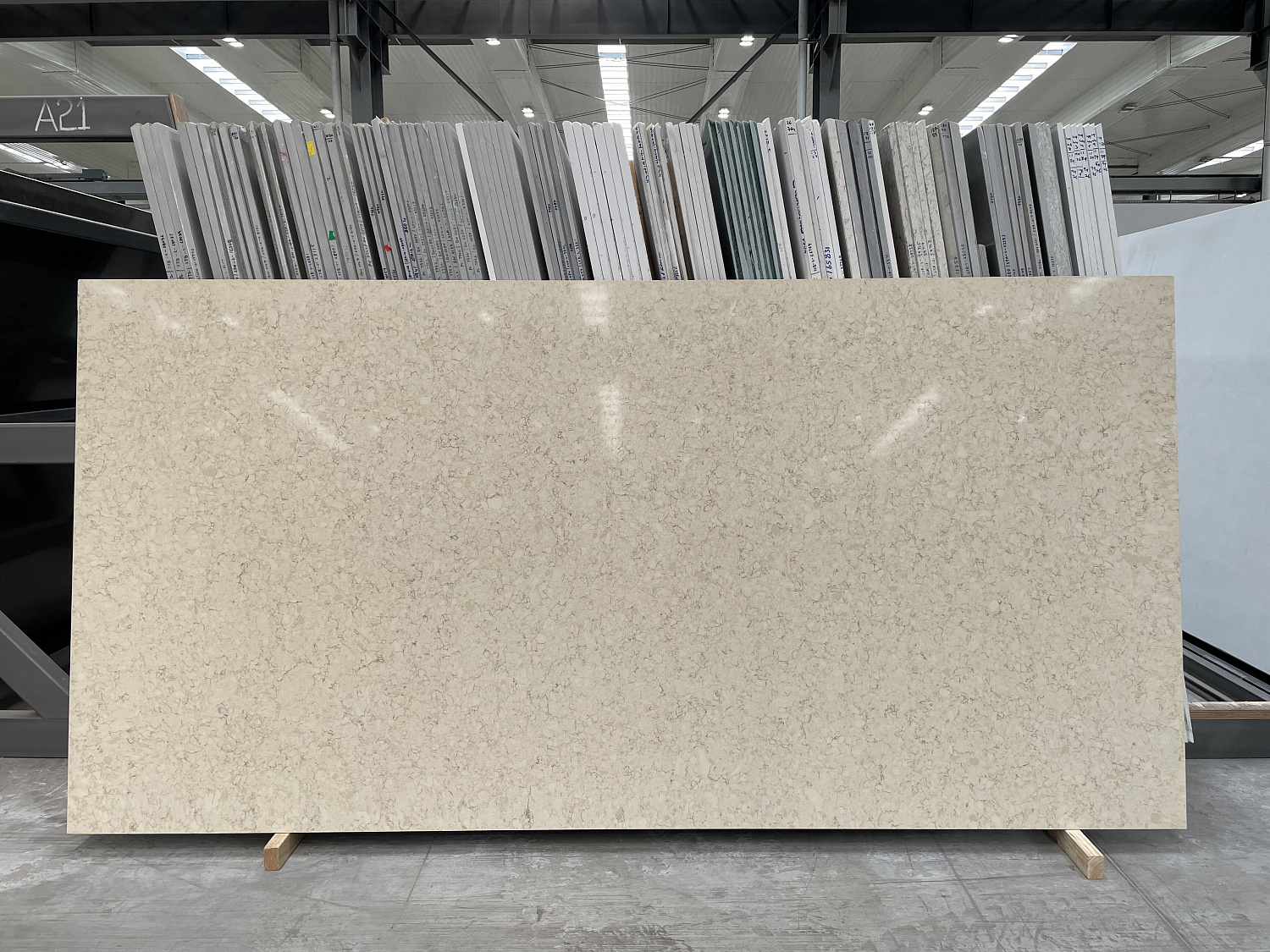 Quantra quartz Semolina